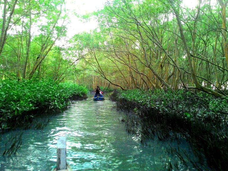 Tiga Foto Mangrove dari Indonesia Raih Penghargaan Dunia