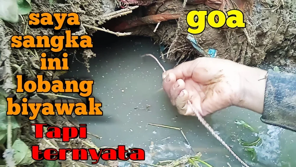 Ilmuwan Kuak Hubungan Belut Purba Penghisap Darah dengan Manusia