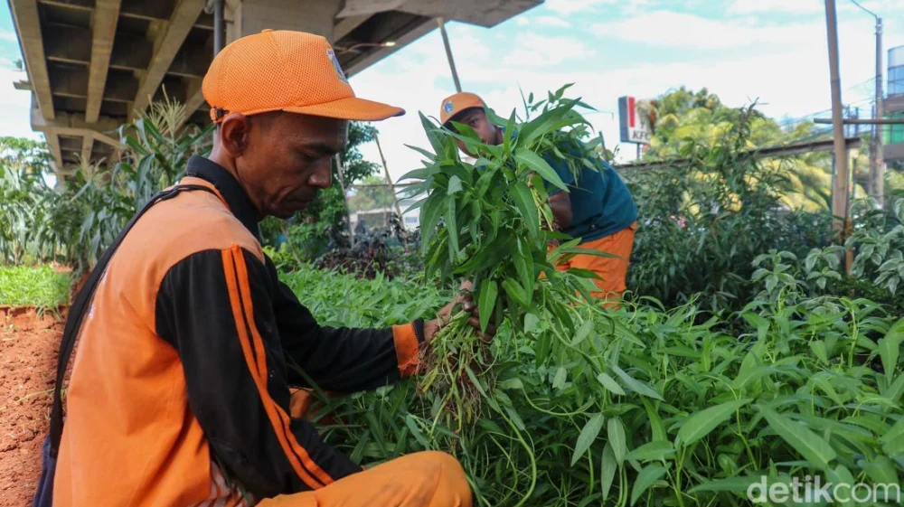Benarkah Tumbuhan Tak Bisa Rasakan Sakit? Ini Penjelasan Ilmiahnya