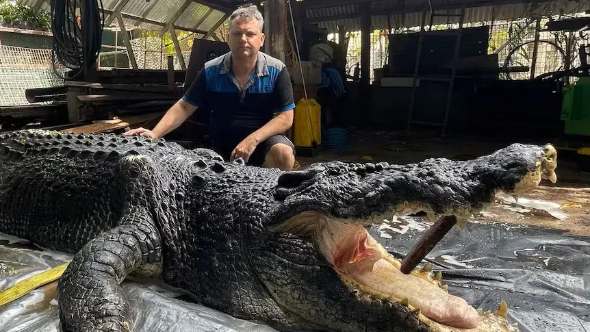 Terkuak! Ini Penyebab Kematian Buaya Raksasa Cassius