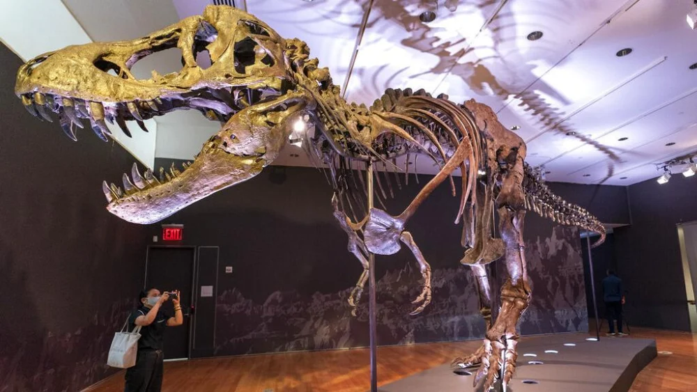 T-Rex Gahar, Tapi Ternyata Tumbuhnya Pelan-pelan
