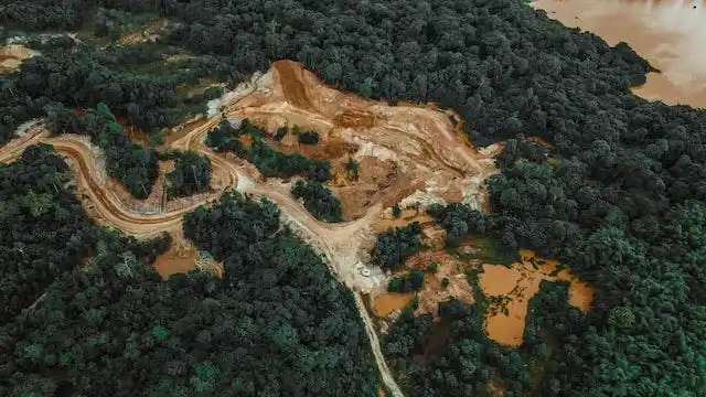 Banjir Bandang Berulang, Tanda Ekosistem Hutan Mengalami Keruntuhan Fungsi