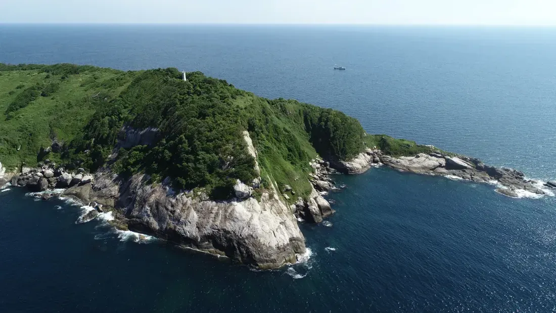 Pulau Ular yang Misterius, Nekat Datang Taruhannya Nyawa!