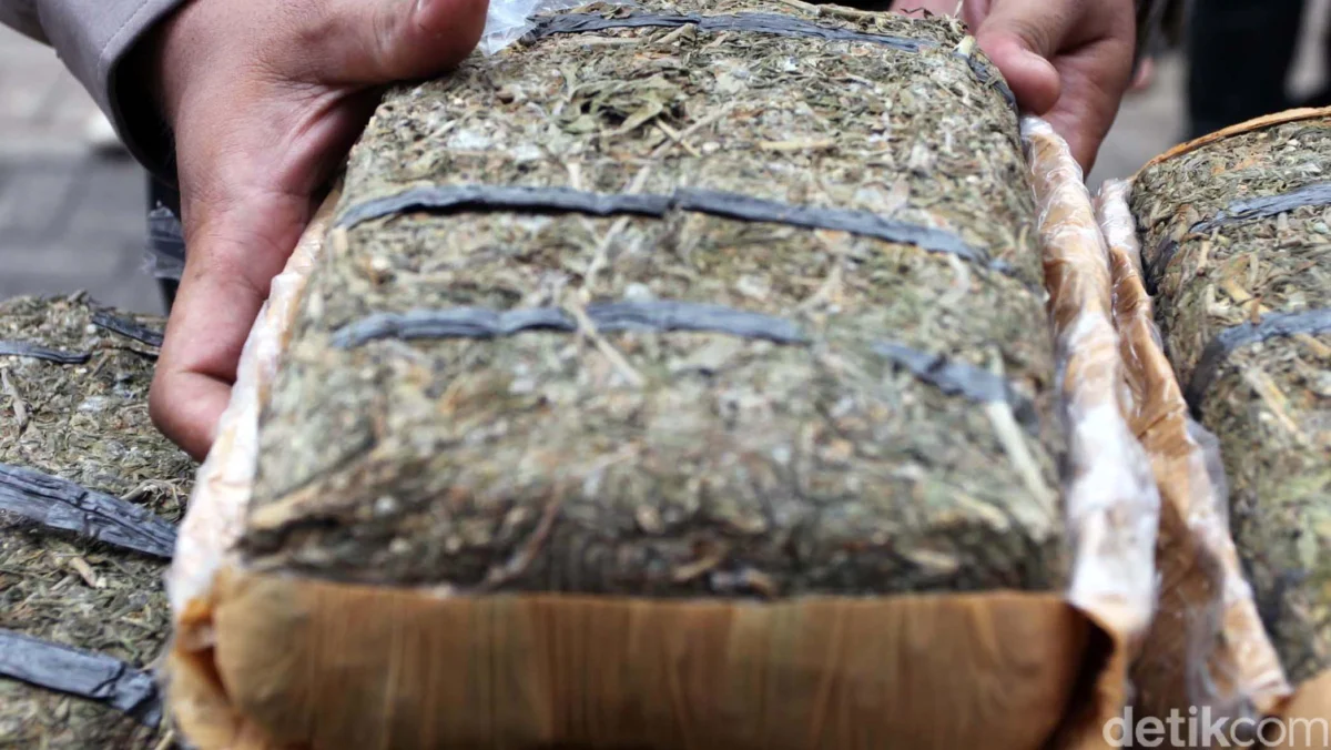 Bawa 110 Kg Ganja dari Thailand, 22 Biksu Ditangkap di Sri Lanka
