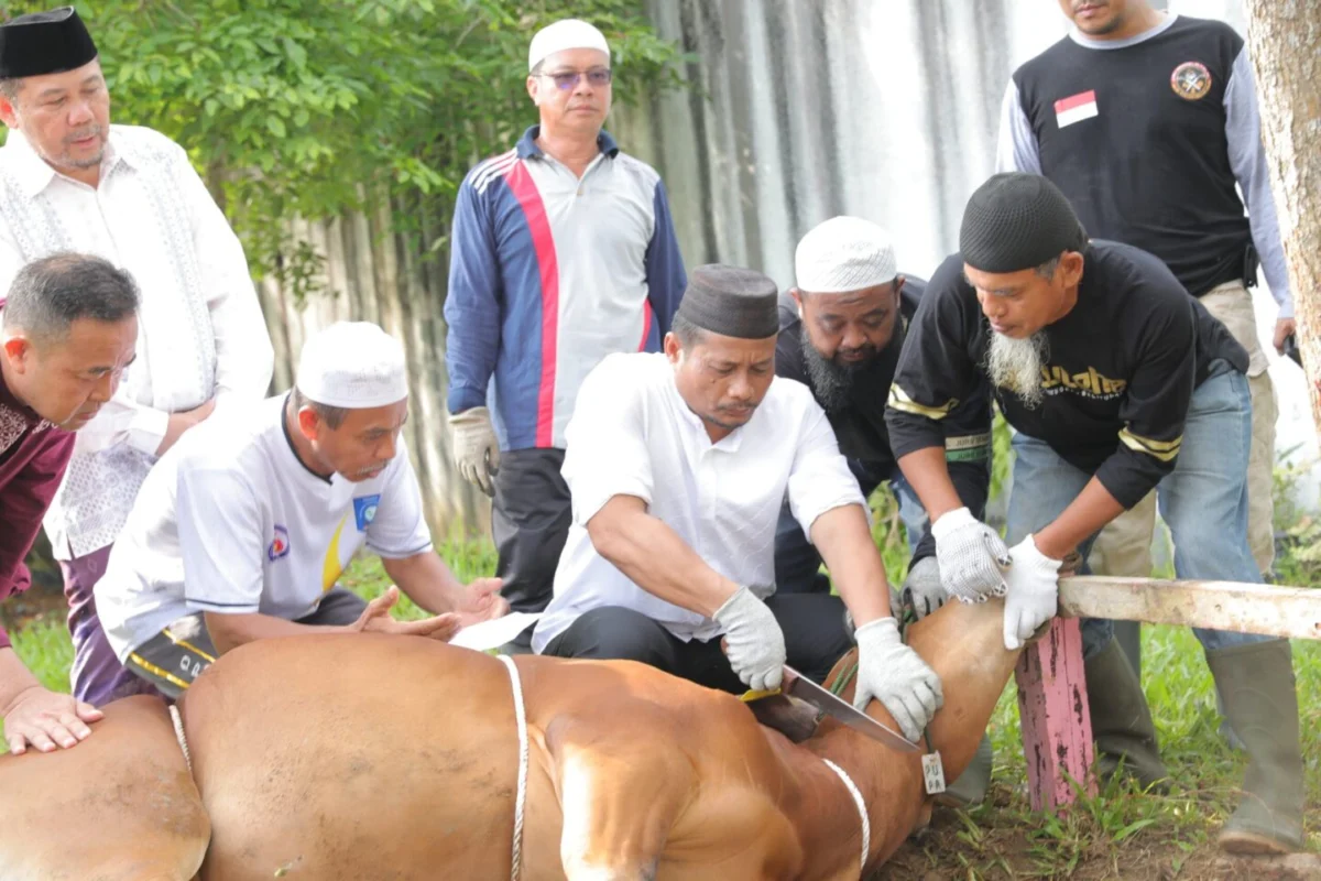 Hikmah Idul Adha dan Pentingnya Sirrul Ikhlas dalam Kehidupan Muslim