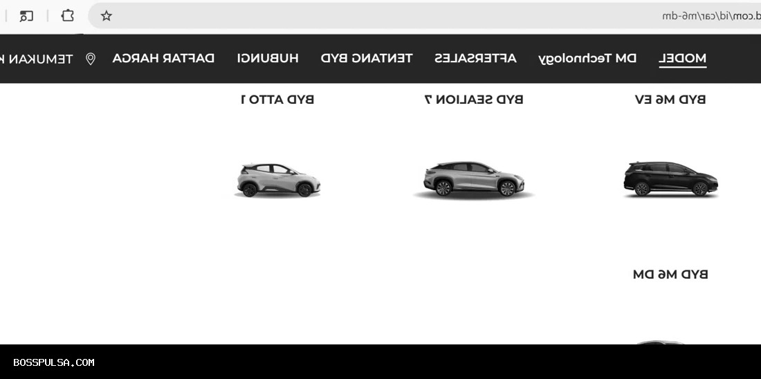 Ini Mobil Baru BYD di Indonesia, Sudah Ada di Situs Resmi