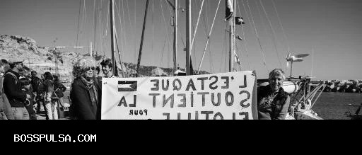 Relawan Flotilla yang Ditangkap Israel Tiba di Istanbul