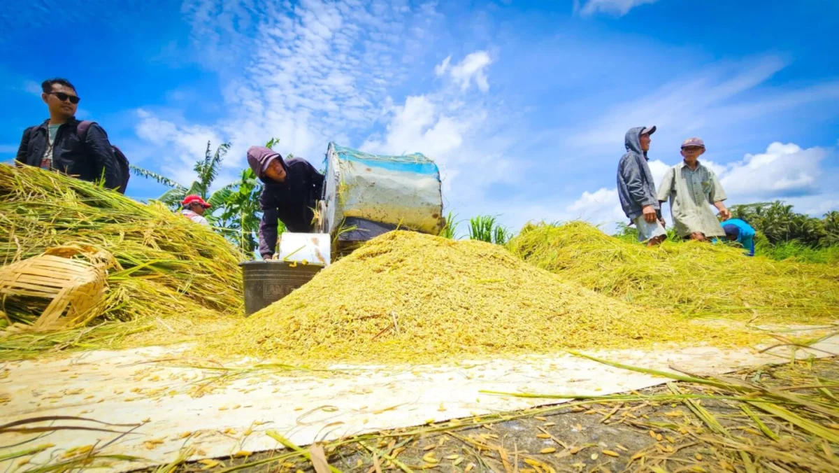 Tengkulak vs Penjual: Hukum Jual Beli Tanpa Harga Pasti