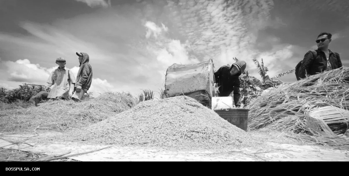 Tengkulak vs Penjual: Hukum Jual Beli Tanpa Harga Pasti