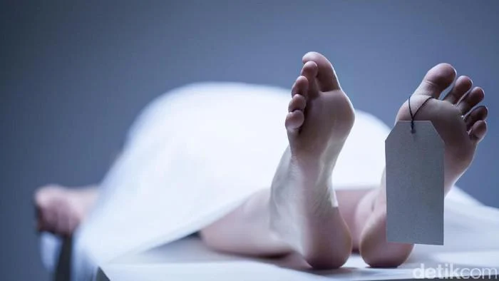 1 Orang Tewas Akibat Gempa M 7,7 di Filipina, 4 Lainnya Luka-luka